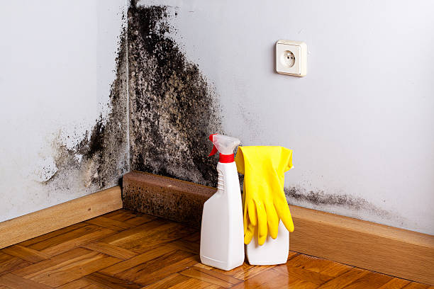 Best Emergency water damage restoration  in Yukon, OK